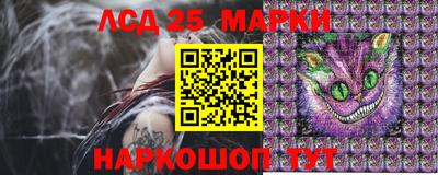 спиды Моздок