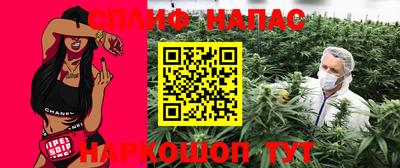 спиды Моздок